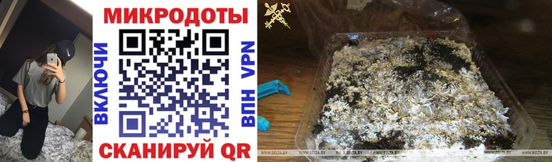 Псилоцибиновые грибы Psilocybe  Купить где  Микунь 